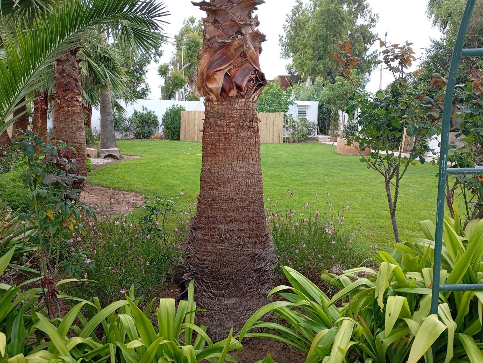 Au Bout Du Jardin Villa Carthage Exterior photo
